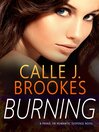 Burning: PAVAD: FBI Romantic Suspense, #13